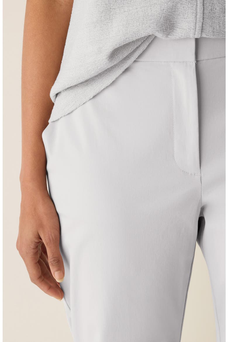 High Waist Slim Fit Ankle Pants, Alternate, color, CHALK