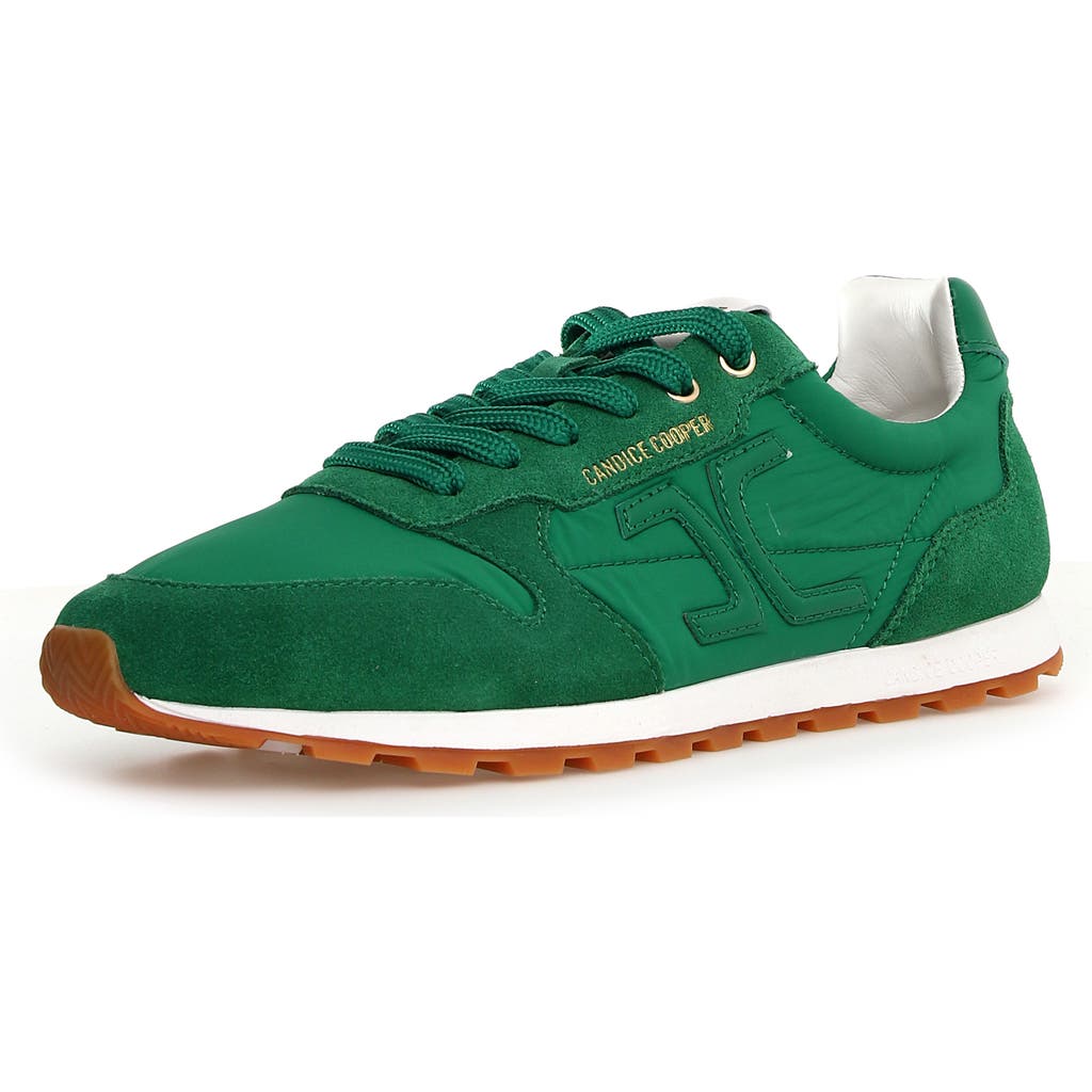 Candice Cooper Plume 3 Sneaker in Green  product