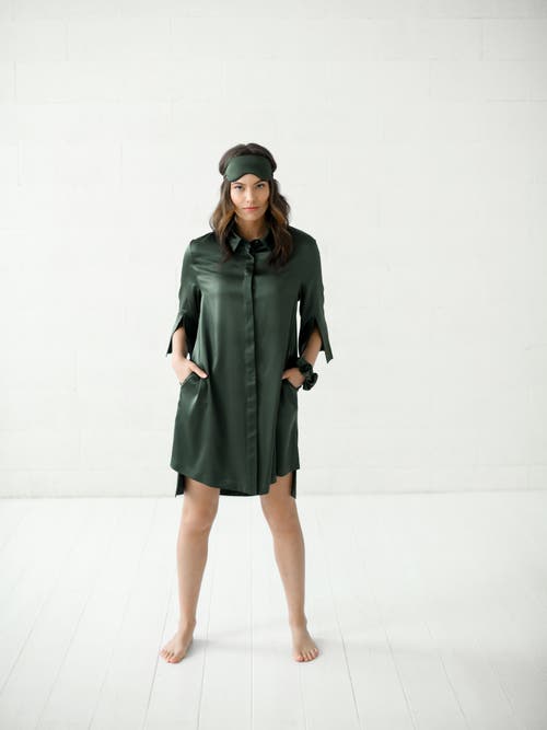 Alas Silk Long Shirt Dress In Green