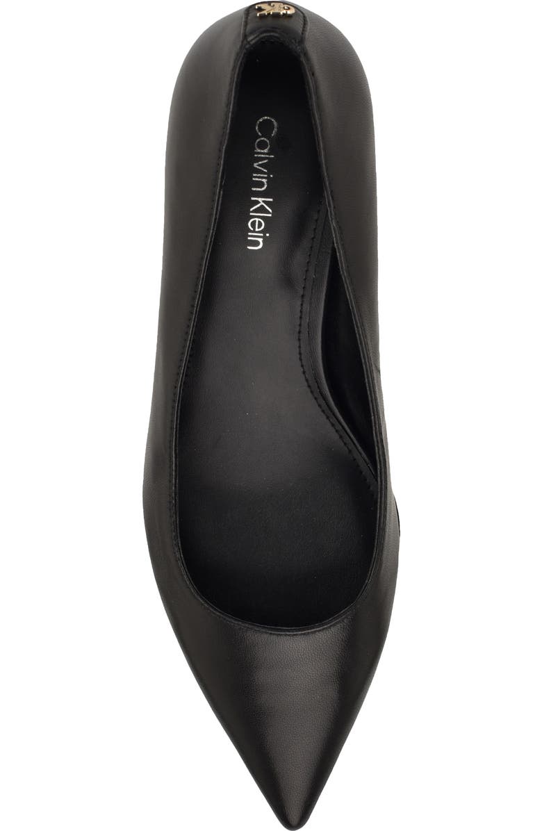 Calvin Klein Roxanna Pointed Toe Kitten Heel Pump, Alternate, color, Black Leather