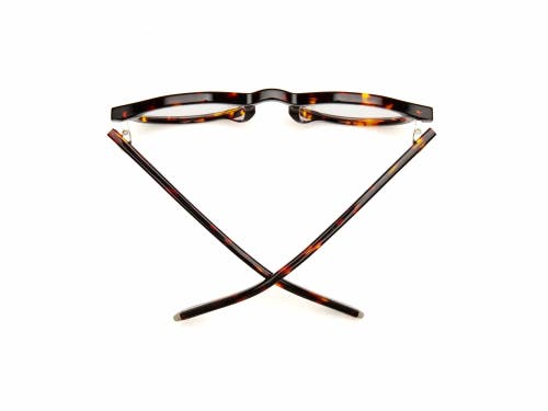 Shop Caddis Dogleg | Reading Glasses