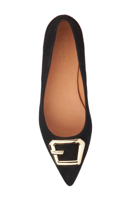 Torgeis Hartwell Pointed Toe Flat In Black