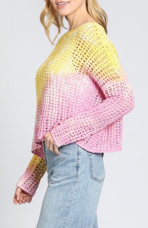 Apny Ombré Open Stitch Cotton Blend Sweater