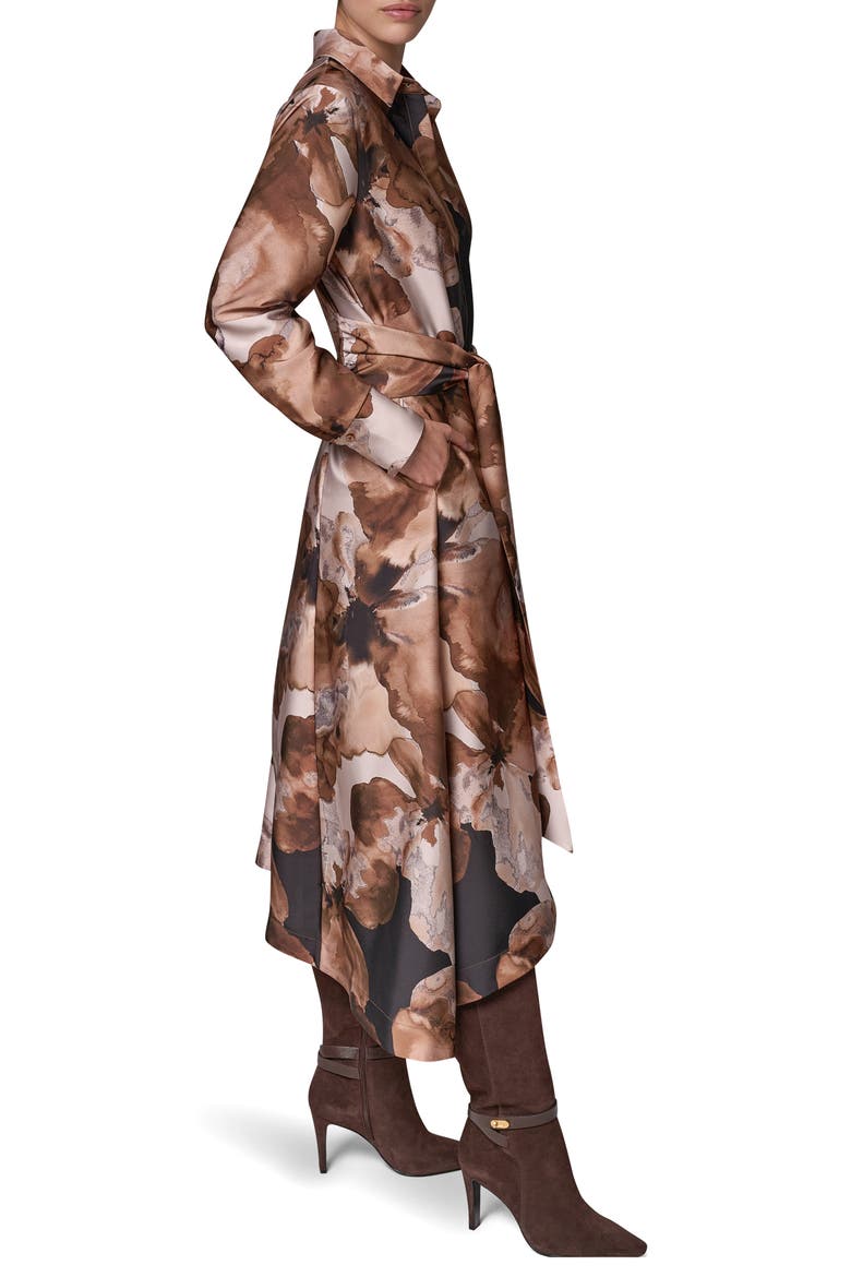 Long Sleeve Shirtdress with Tie Waist, Alternate, color, CAMEL MULT