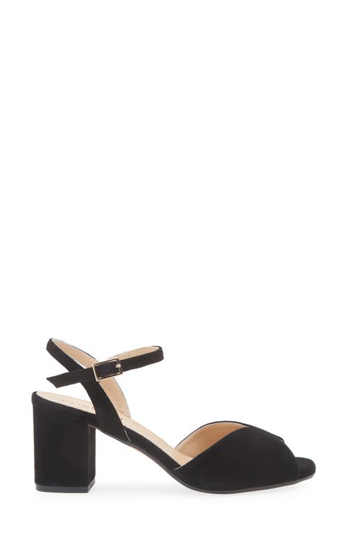 Cordani Ingrims Ankle Strap Sandal In Black