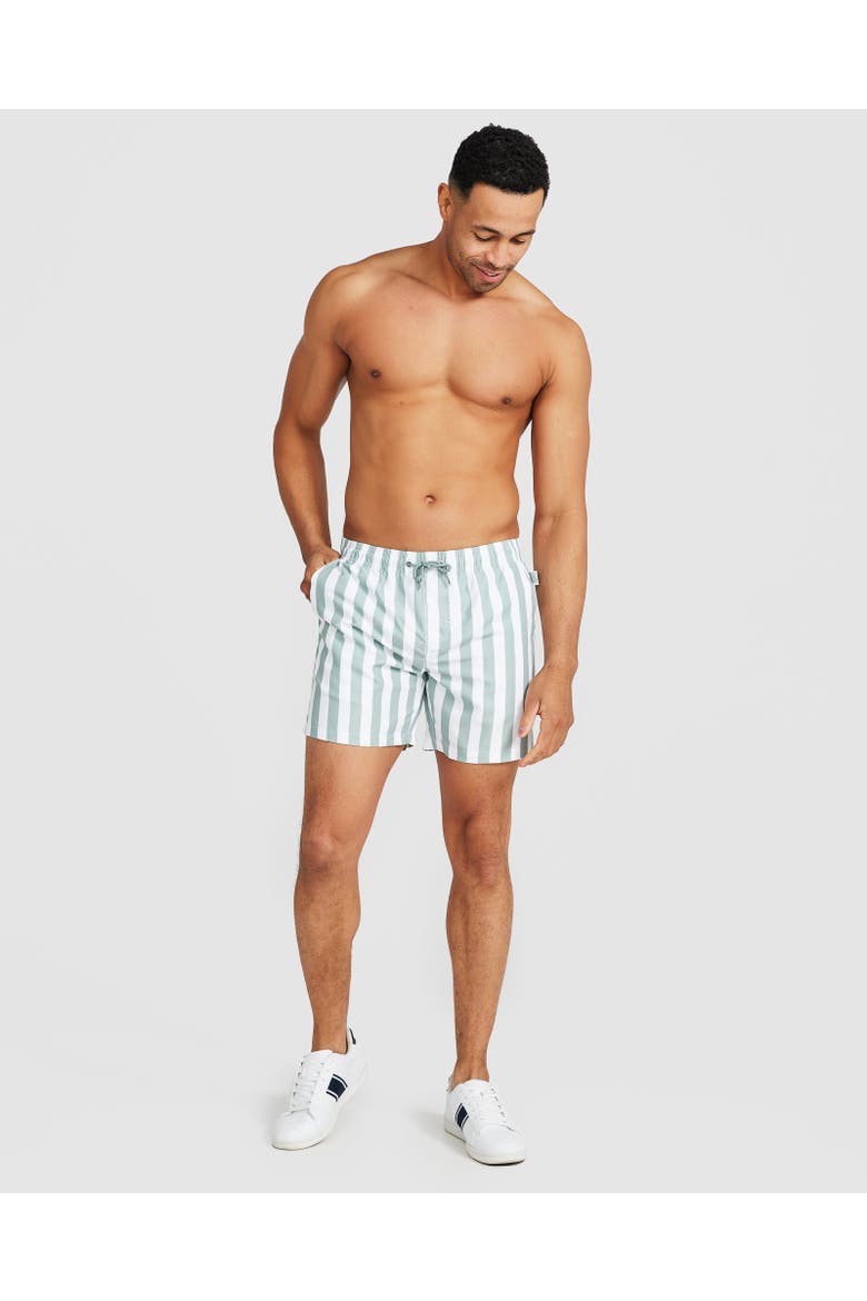 Naxos Swim Short, Alternate, color, Sage Green & White Stripe