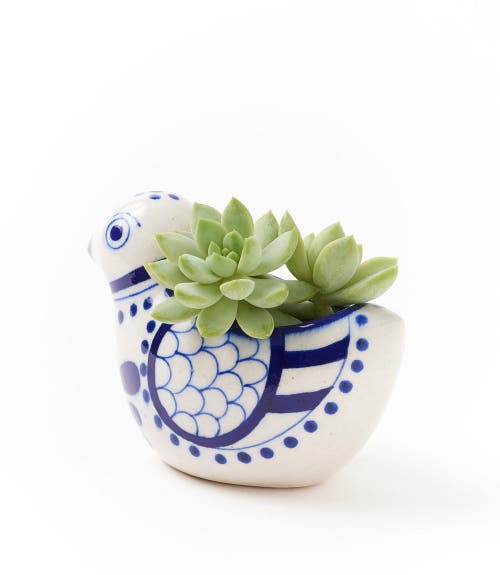 Matr Boomie Lalita Bird Succulent Planter In White