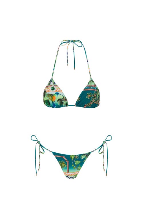 Sunkissed Le Triangle Swim Bottom In Eden