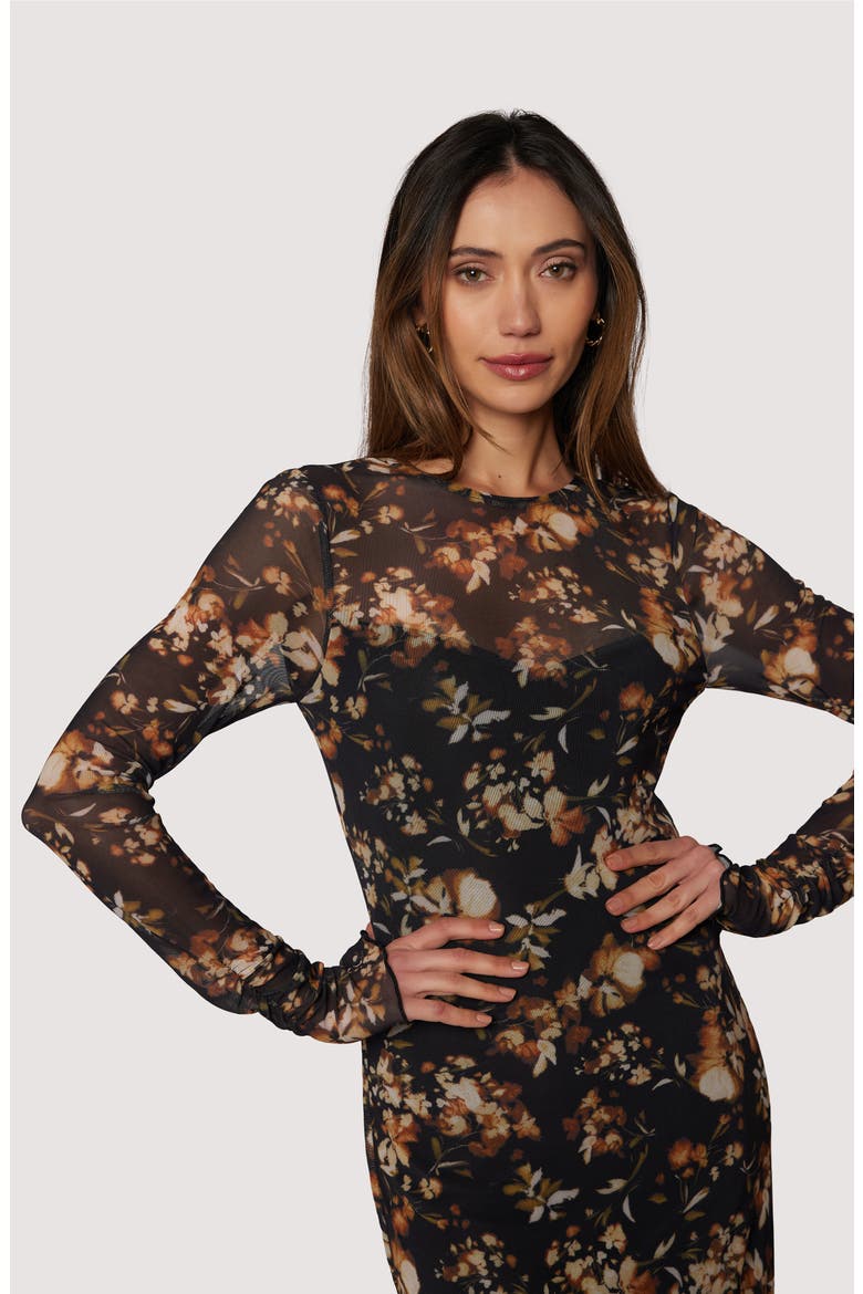 Moonlit Meadow Floral Print Long Sleeve Midi Dress, Alternate, color, BLACK RUST FLORAL