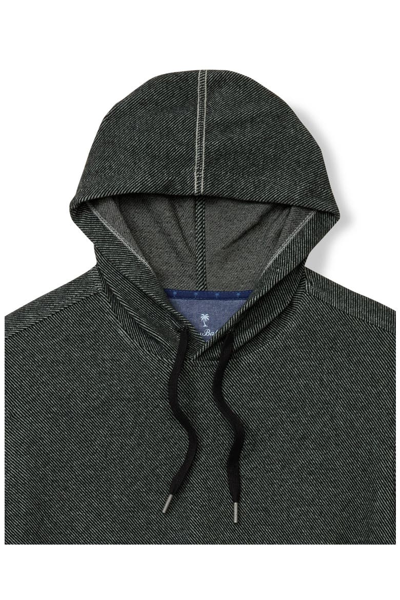 Fireside Coast Hoodie, Alternate, color, STORMY WILLOW