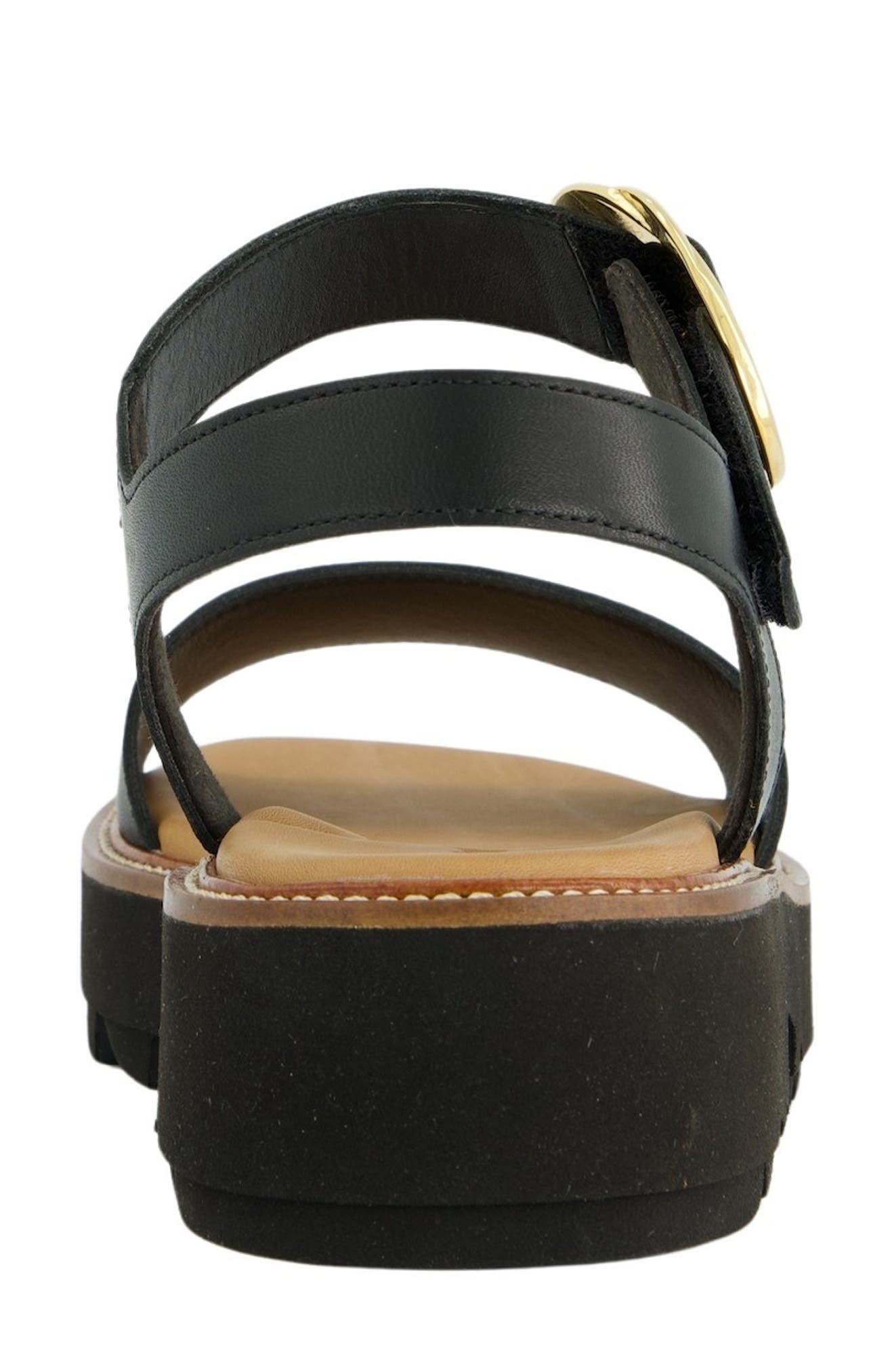 Paul Green Darcy Ankle Strap Platform Sandal, Alternate, color, Black Leather