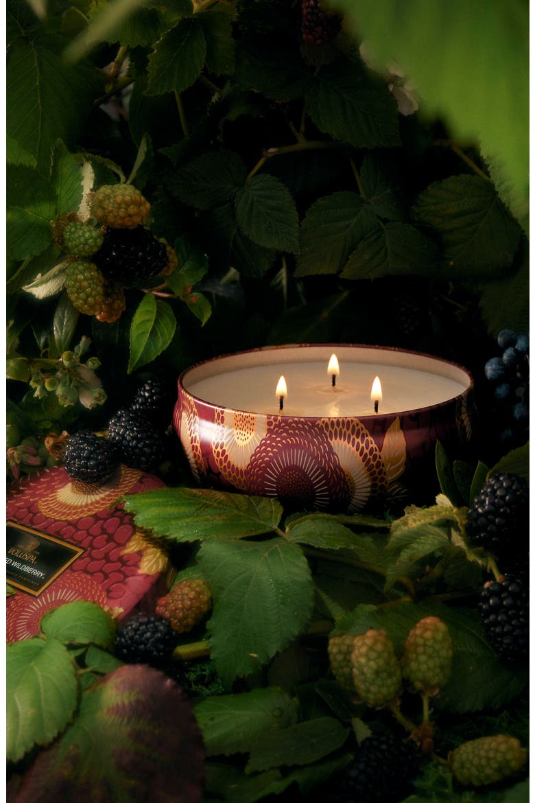 Foraged Wildberry 3-Wick Tin Candle, Alternate, color, FORAGED WILDBERRY