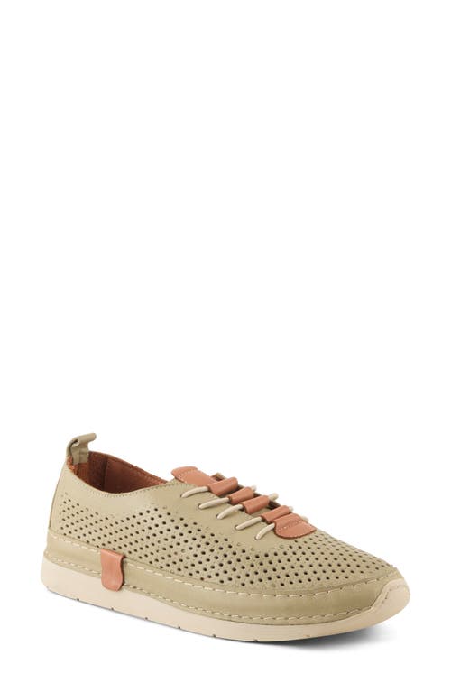 Spring Step Breen Perforated Sneaker In Olive Green