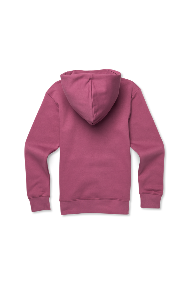 Lookout Point Pullover Hoodie - Women's, Alternate, color, Fig