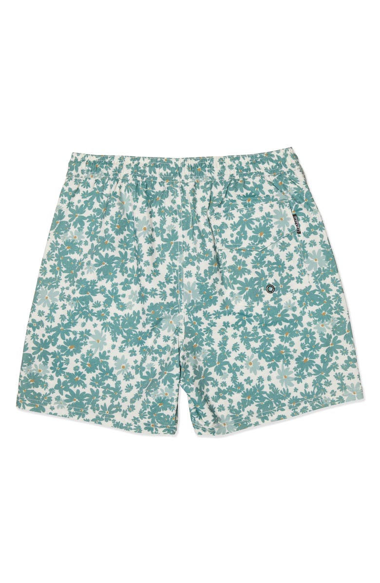 Ezekiel Victory Swim Shorts, Alternate, color, Sage