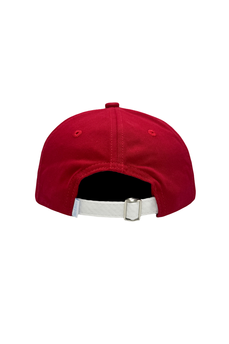 Arkansas Razorbacks Baseball Hat, Alternate, color, Red