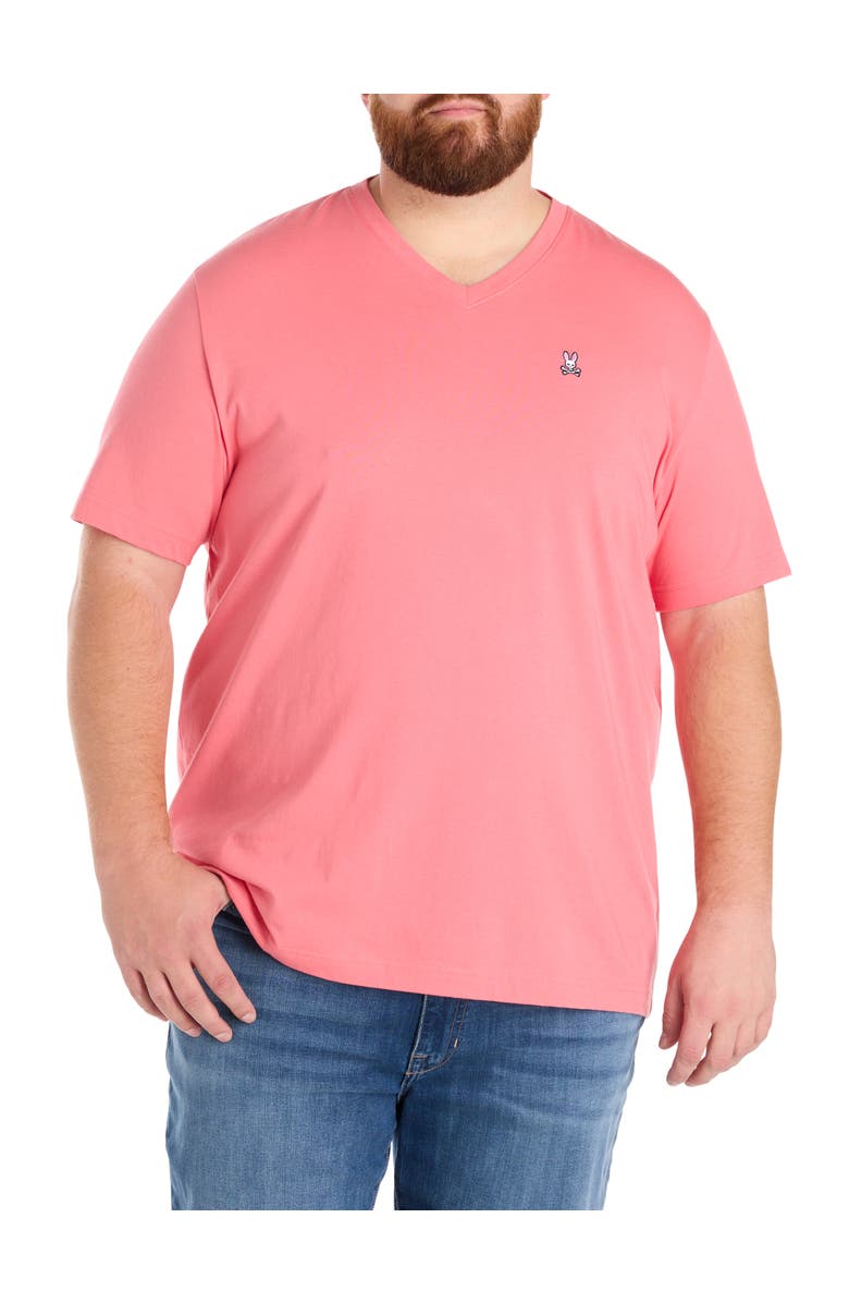 Psycho Bunny Big & Tall V-Neck T-Shirt, Main, color, Rubi Quartz