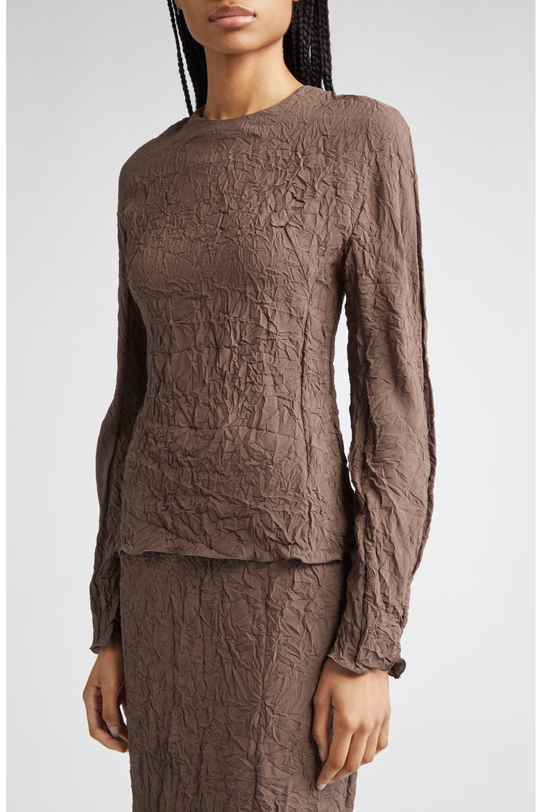 Long Sleeve Crinkle Top, Alternate, color, BROWN