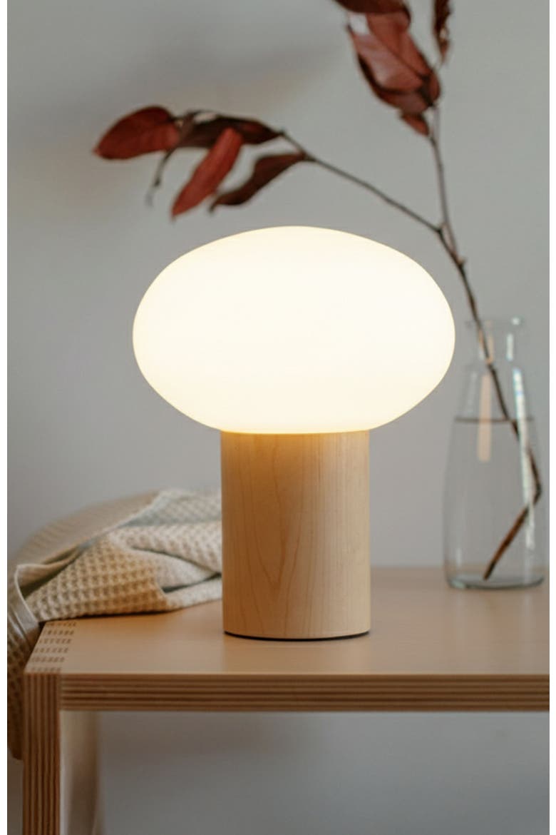 Ivy 9.5" Modern LED Table Lamp with Oval Frosted Glass Shade and Phone Charging USB-C Port, Alternate, color, Wood