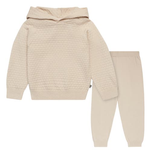 Modern Moments™ By Gerber Sweater Knit Hoodie & Pant Set In Oatmeal Heather