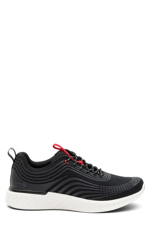 Ara St. Paul Sneaker In Black