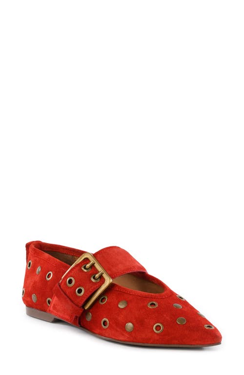 Seychelles Abbey Pointed Toe Flat In Red