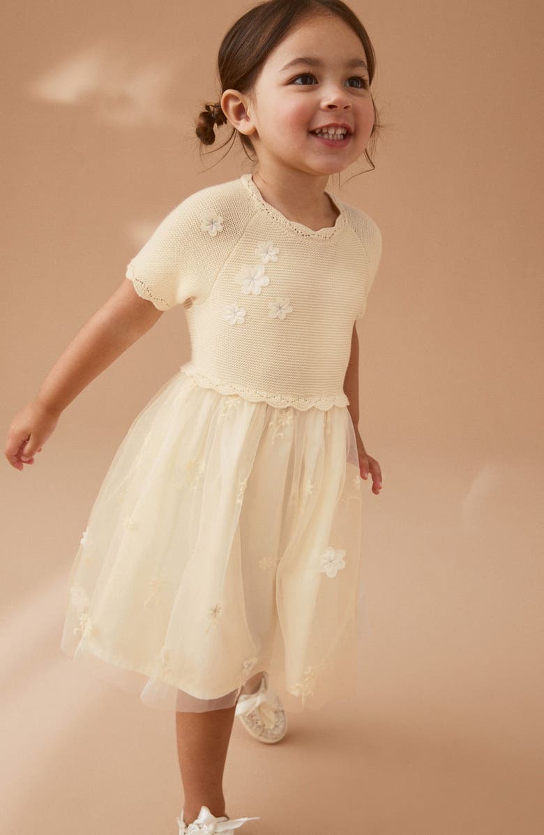 NEXT Kids' Floral Embroidered Party Dress, Alternate, color,