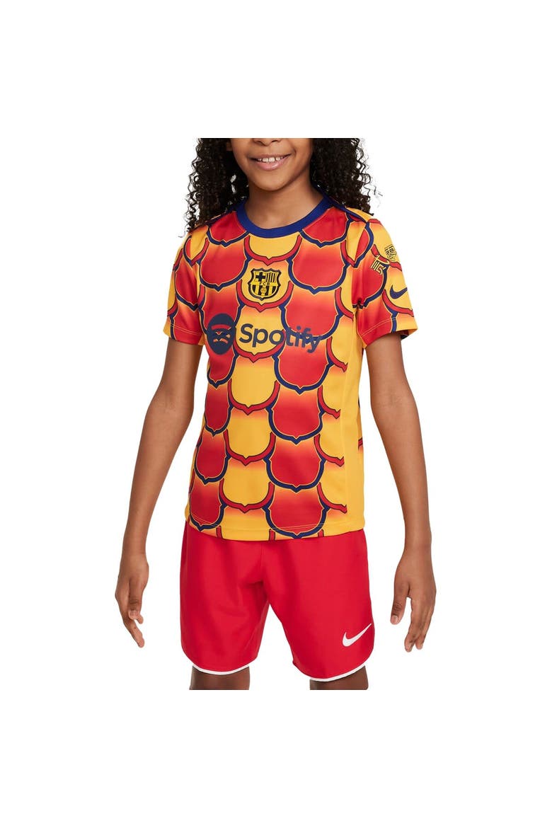 Youth Nike Gold Barcelona 2023/24 Drac Pack Academy Pro Pre-Match Top, Alternate, color, Gold