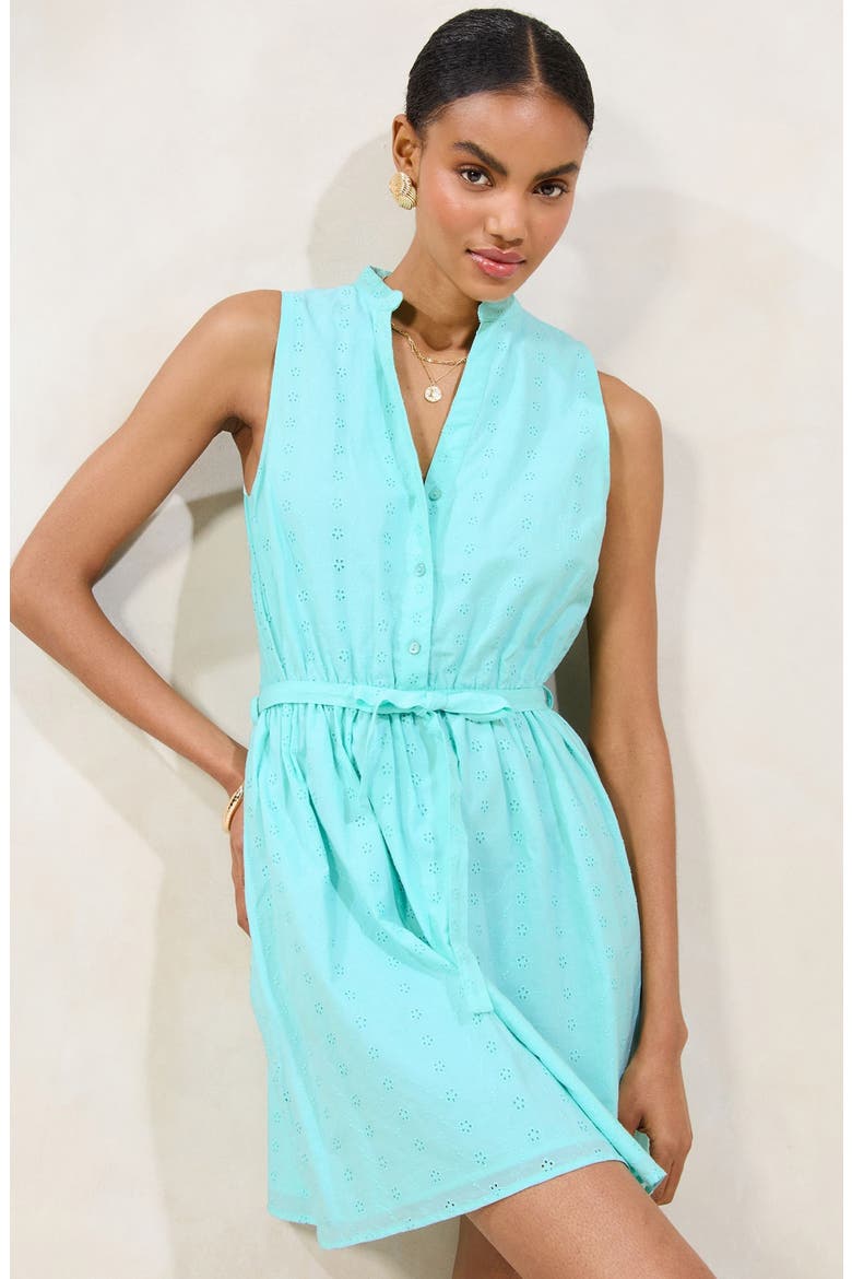 Broderie Sleeveless Minidress, Alternate, color, BLUE