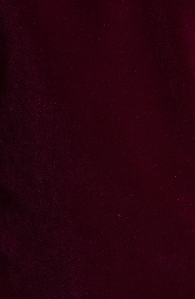 Alice + Olivia Macey Velvet Shawl Collar Jacket, Alternate, color, 