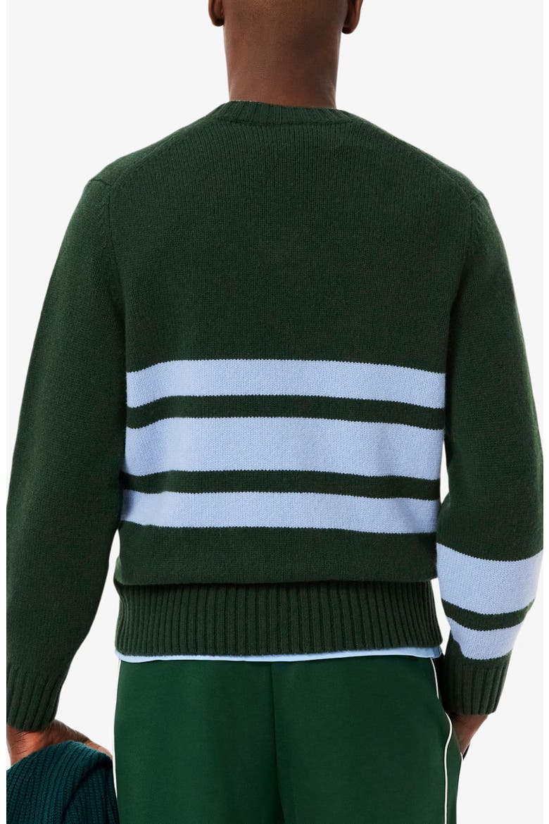 Classic Stripe Wool V-Neck Sweater, Alternate, color, SINOPLE/ OVERVIEW