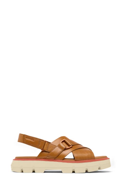 Sorel Rein Cb Crisscross Sandal In Canyon Gold/bleached Ceramic