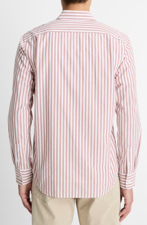 Vince Stripe Classic Fit Button-up Shirt In Sepia/optic White