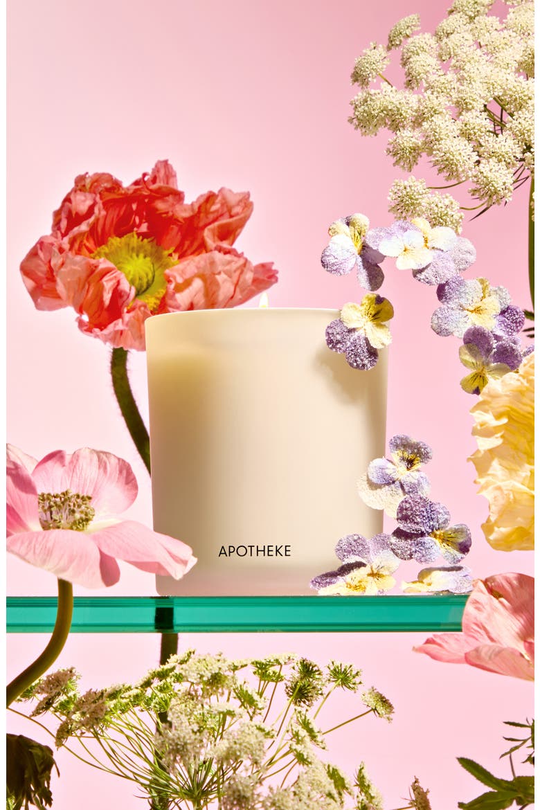Elderflower Sugar Classic Scented Candle, Alternate, color, NO COLOR