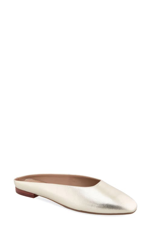 AEROSOLES AEROSOLES AMARA MULE