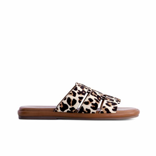 Shop Bernardo Footwear Tamer Haircalf Slip-on Sandal In Cream Leopard