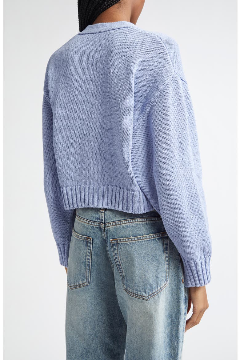 Sofia Oversize Crop Cardigan, Alternate, color, PALE BLUE