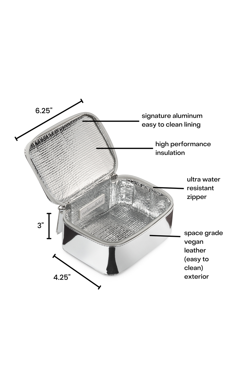 WELLinsulated Performance Mini Travel Case, Alternate, color, Silver
