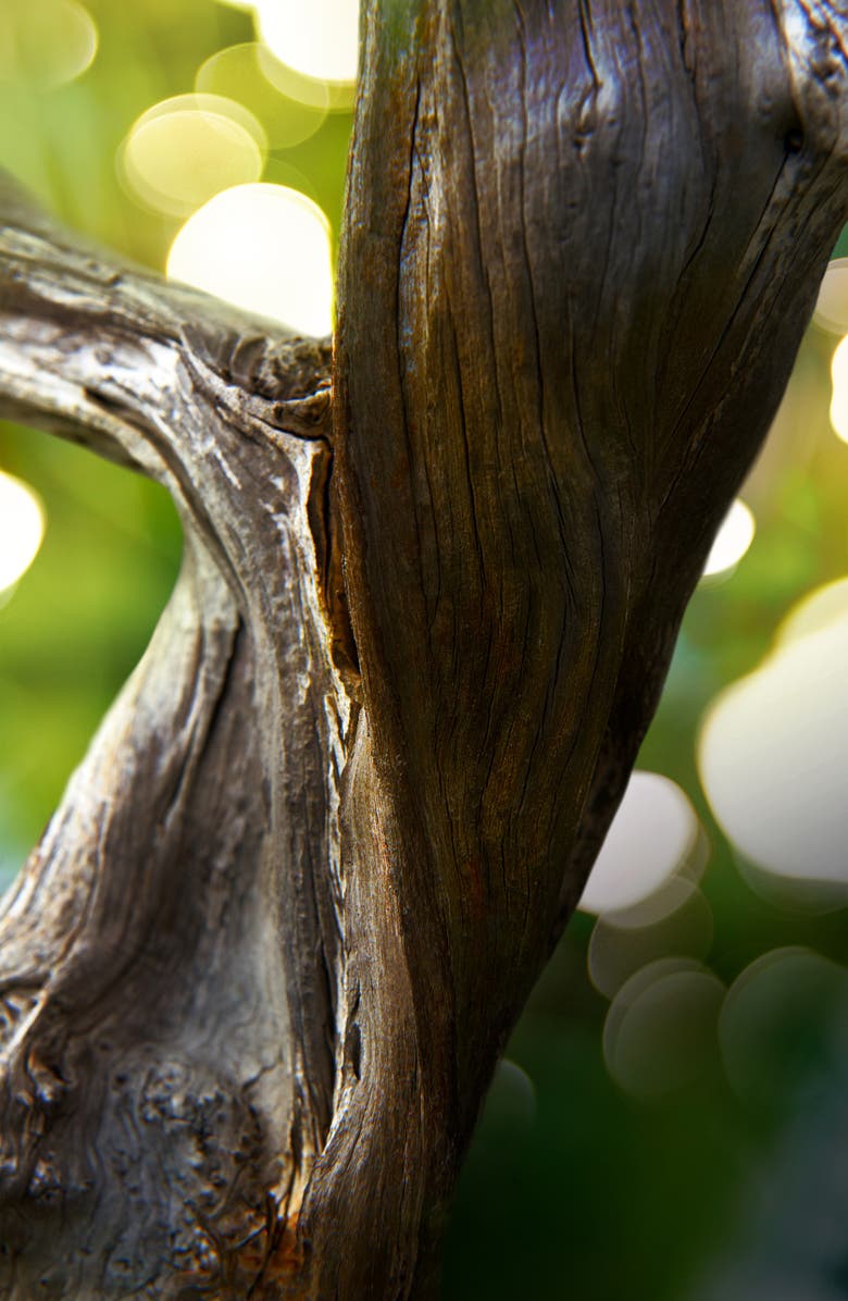 BVLGARI MAN Wood Essence Refillable Eau de Parfum, Alternate, color,