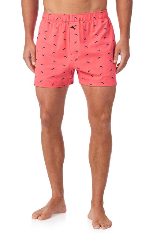 Tommy Bahama Cotton Lounge Boxer Shorts