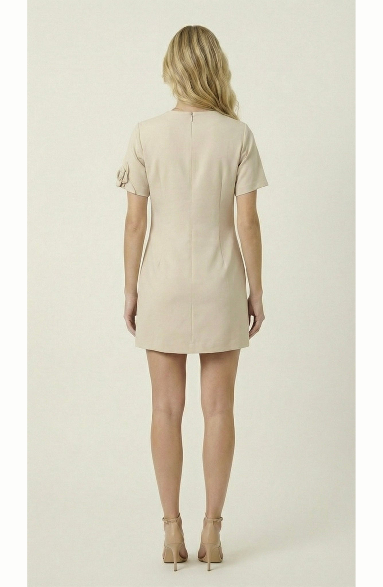 Modenaire Floral Appliqué Mini Shift Dress, Alternate, color, Pale Beige