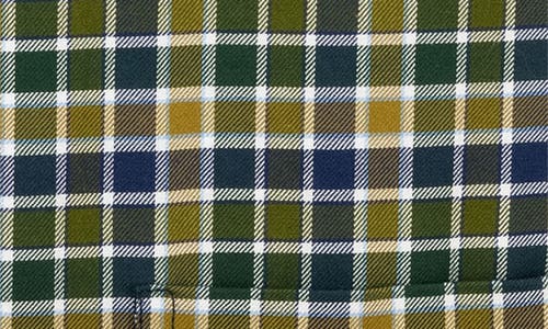 Scott Barber Check Prep Cotton Twill Button-down Shirt In Green