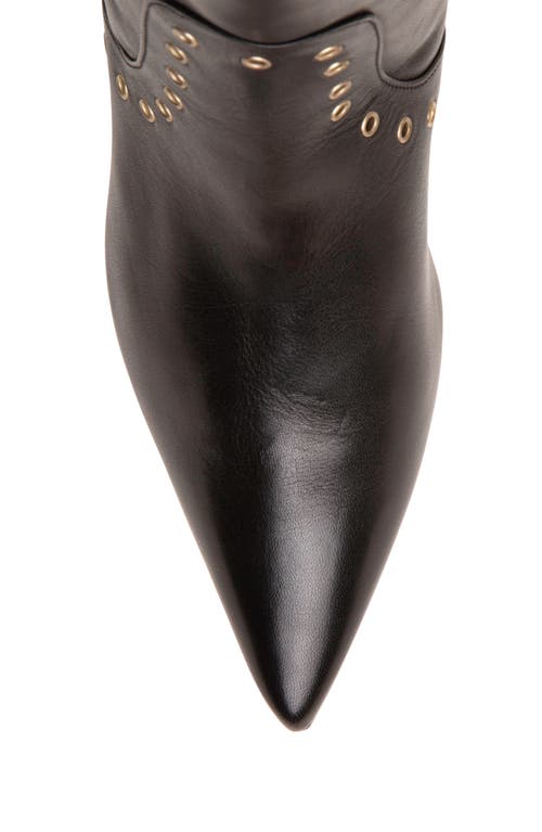 Beautiisoles Vanessa Pointed Toe Tall Boot In Black