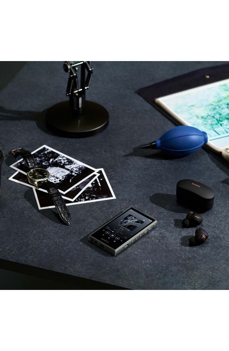 Sony NW-A306 Walkman A Series Hi-Res Digital Music Player, Alternate, color, 