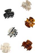 Tasha Assorted 6-Pack Mini Jaw Hair Clips