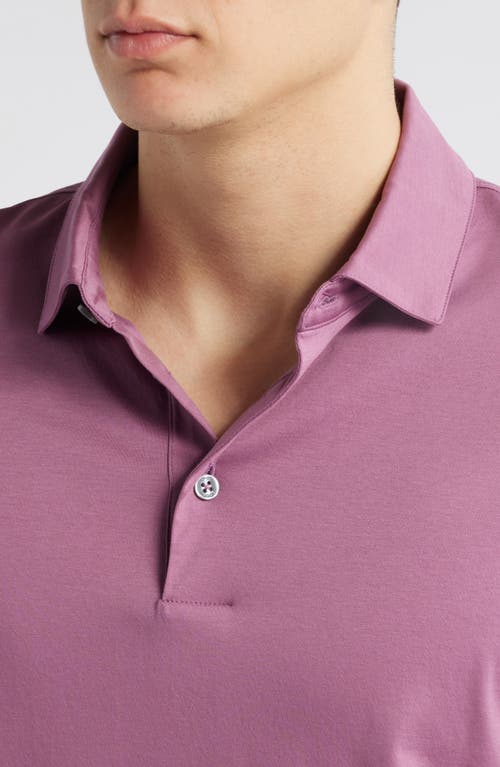 Hugo Boss Boss Pleins Long Sleeve Polo In Purple
