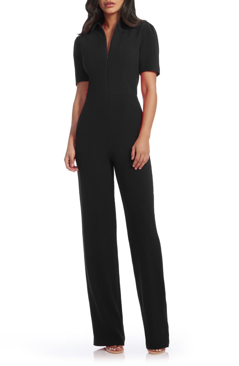 Dress the Population Gloria Front Zip Jumpsuit, Main, color, Black