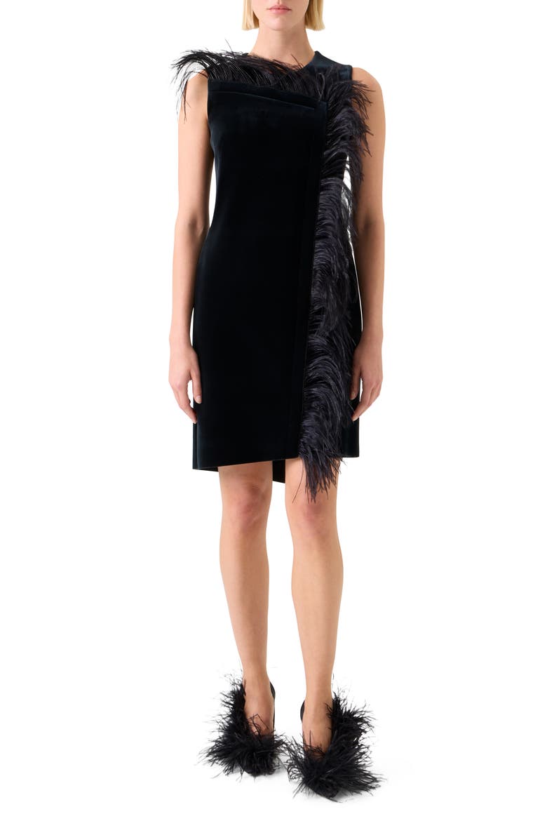 Feather Trim Velvet Neoprene Dress, Main, color, BLACK