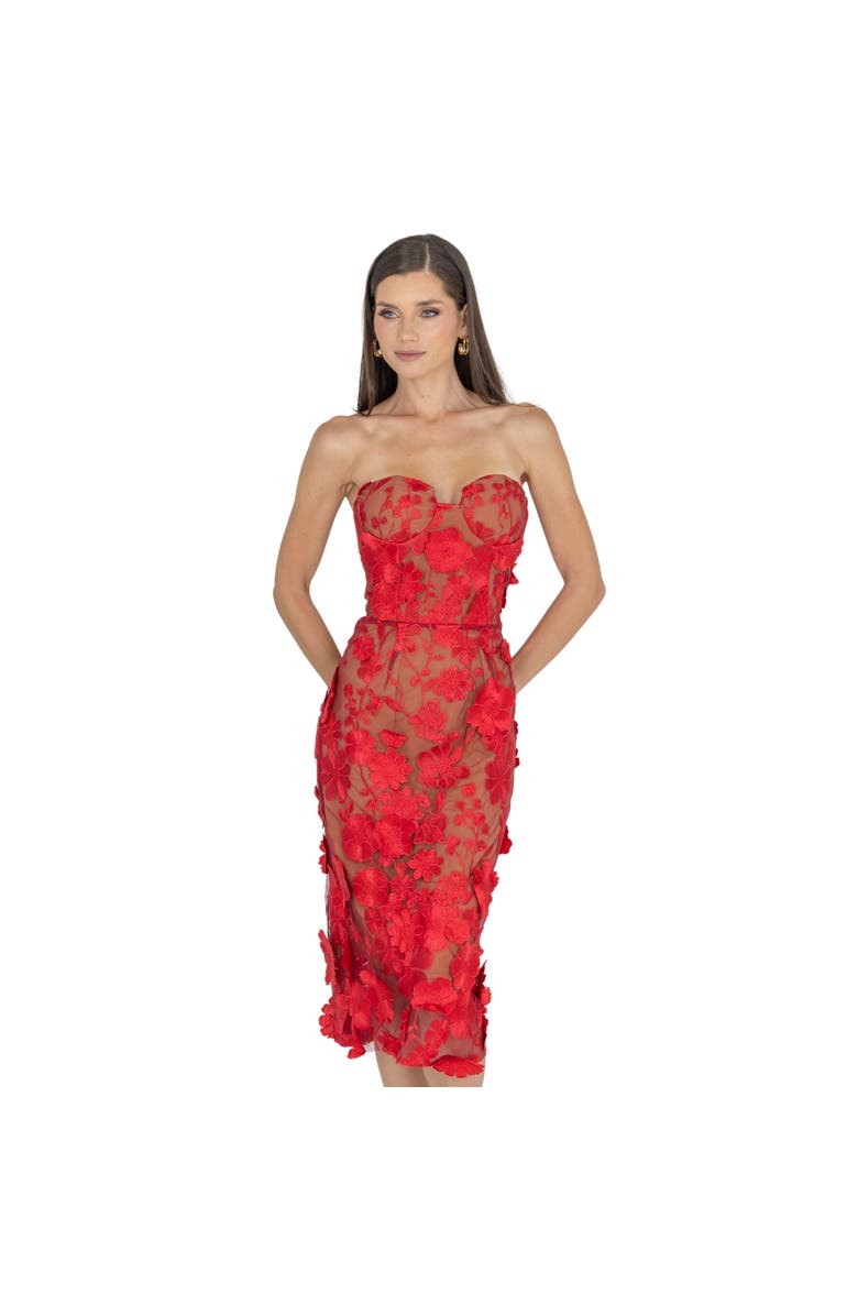 AKALIA Anni Floral Embroidered Strapless Midi Dress, Alternate, color, 