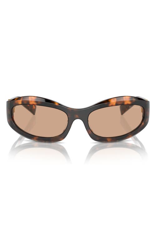 Miu Miu 61mm Oval Sunglasses In Blond Hav